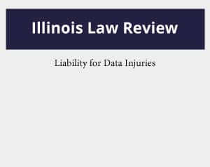 Liability for Data Injuries